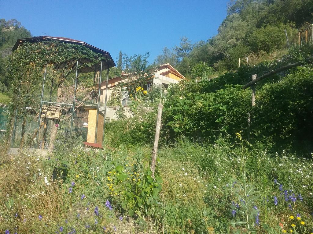 Gallinette Διαμέρισμα Rigaud Εξωτερικό φωτογραφία
